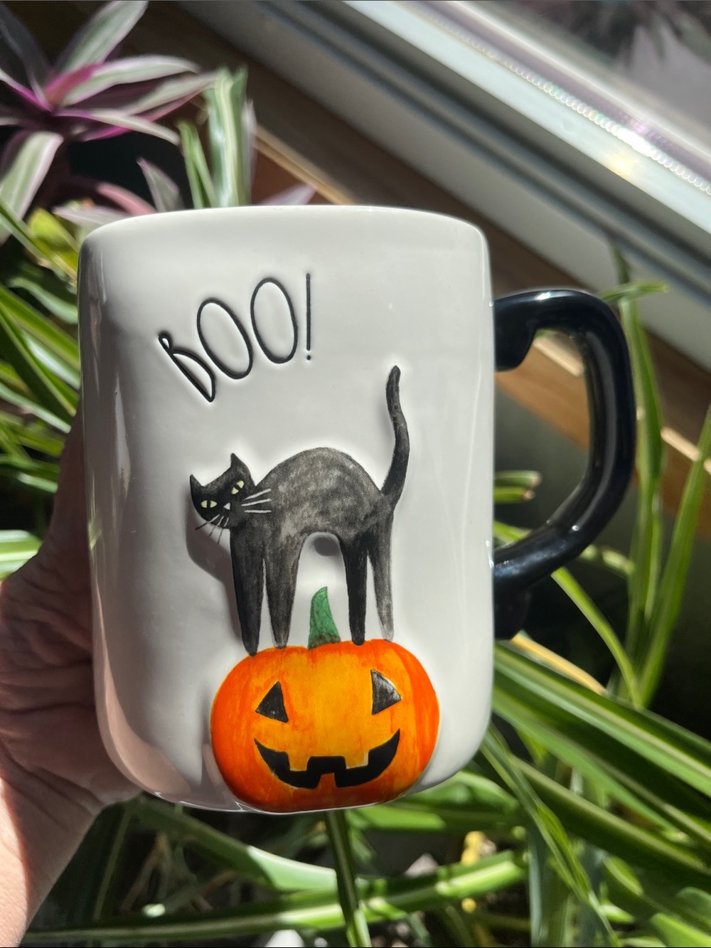 Halloween Coffee Mug BOO! Black Cat Arched Back On Jack O Lantern Rae Dunn